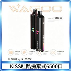WAGOO哇酷Kiss5 6500口拋棄式 | 自由混搭雙口味 | 雙芯組合