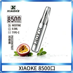 梟客XIAOKE一次性電子菸拋棄式8500口
